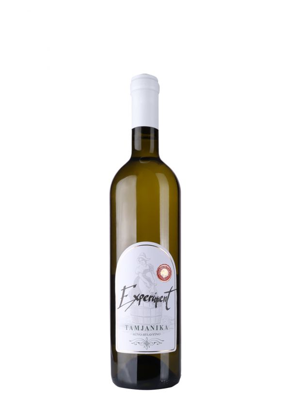 Čokot Experiment Tamjanika 
