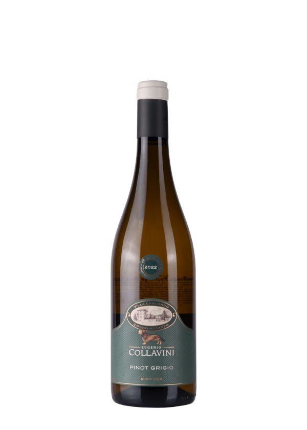 Collavini Pinot Grigio 