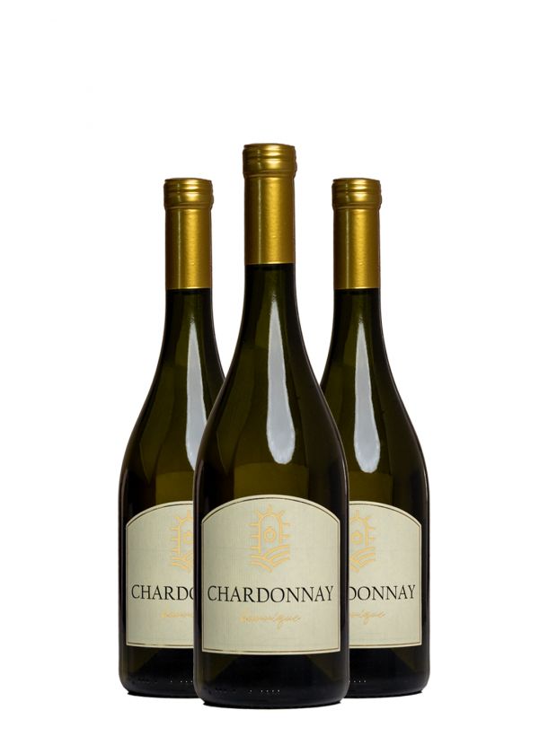 AKCIJA 2+1 Magaza Chardonnay 