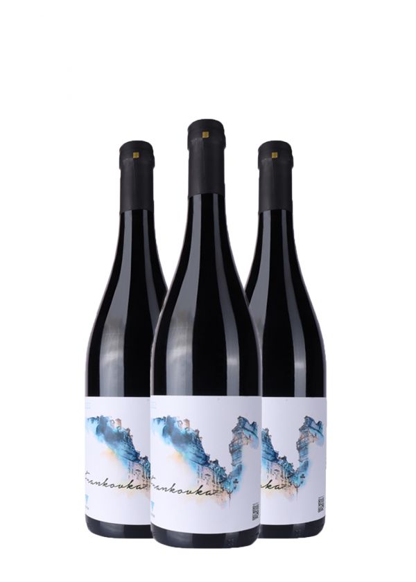 AKCIJA 2+1 Vinum Frankovka 