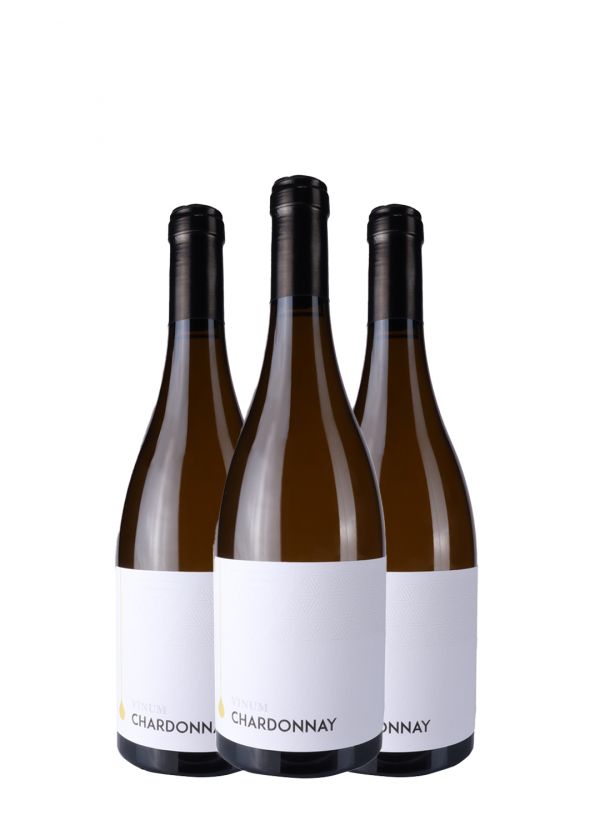AKCIJA 2+1 Vinum Chardonnay 