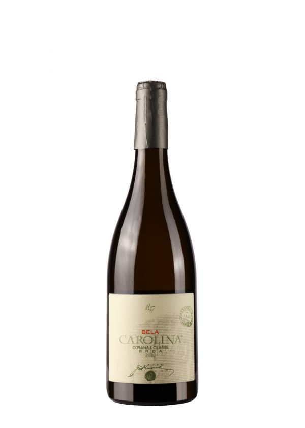 Jakončić White Carolina 