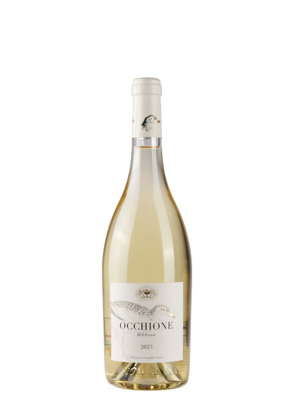 Occhione 