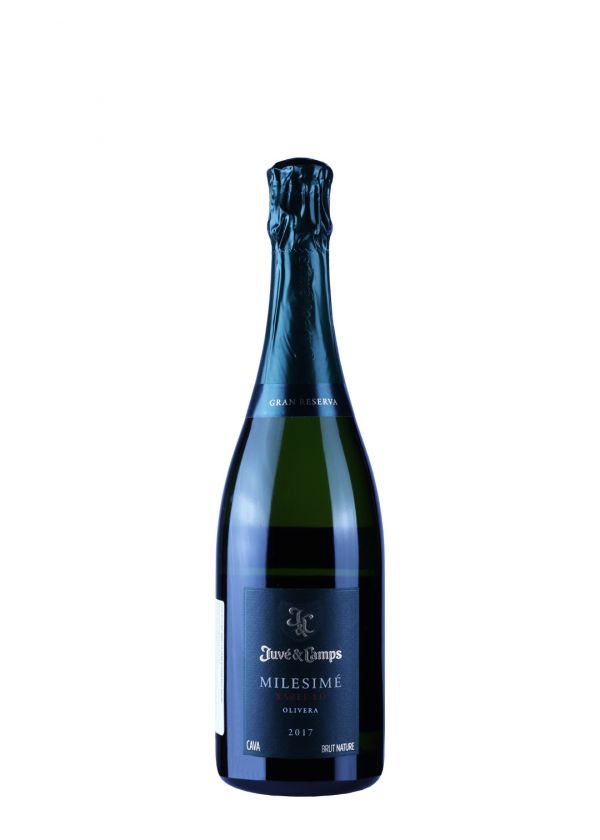Cava Millesime Juve&Camps 