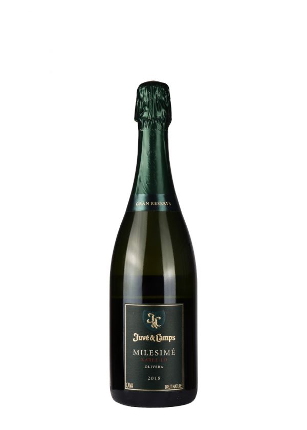 Cava Millesime Juve&Camps 