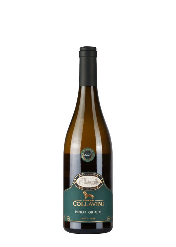 Collavini Pinot Grigio 