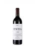 Vega Sicilia Pintia